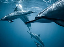 Kaiyunsports：把运动变成生活的仪式